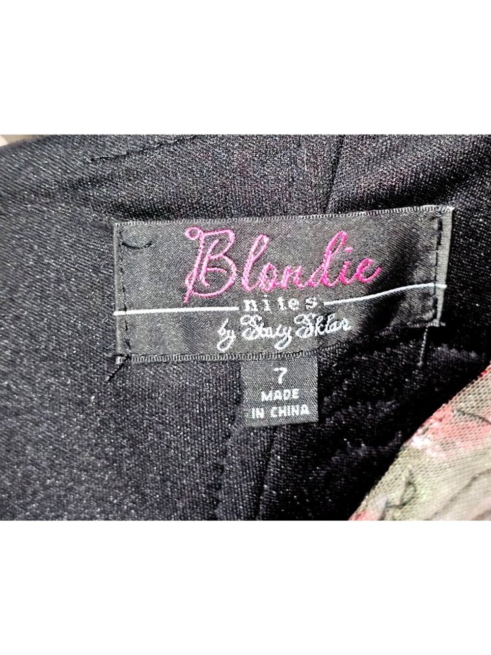 NWT Blondie Nites Stacy Sklar Dress 3 Embroidered Floral Fairycore Sz 7 169 - Picture 11 of 14